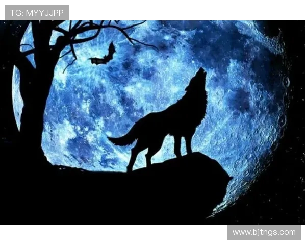 《独狼》：当孤独铸就传奇，一人成军的史诗激荡