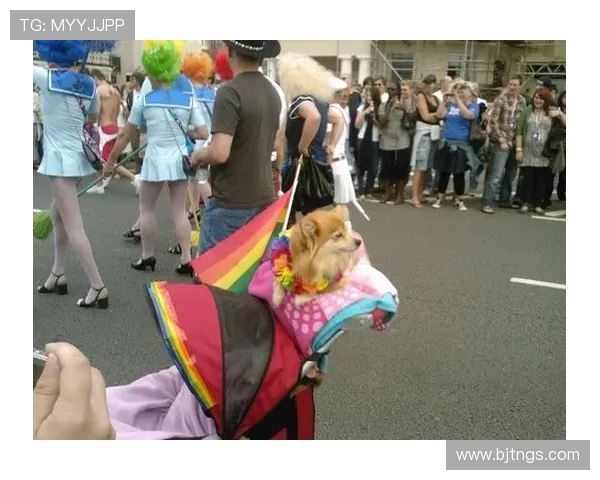 屏幕上的彩虹：同性恋电视剧如何照亮我们的世界